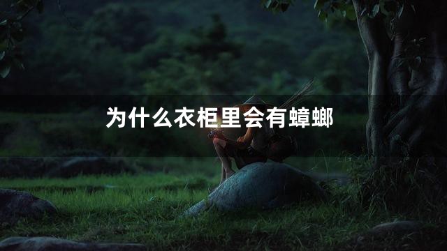 为什么衣柜里会有蟑螂