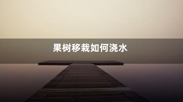 果树移栽如何浇水
