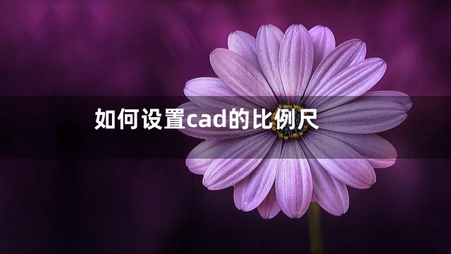 如何设置cad的比例尺
