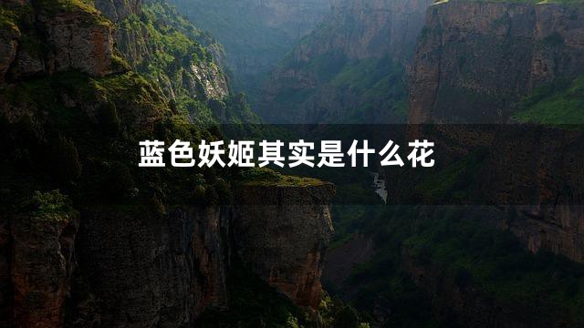 蓝色妖姬其实是什么花