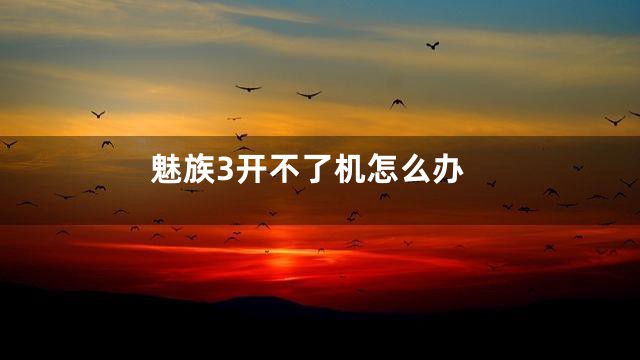 魅族3开不了机怎么办