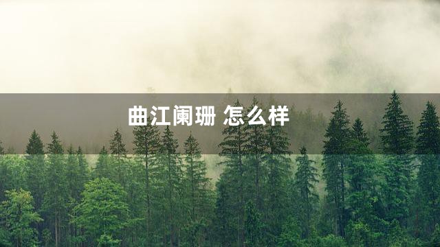 曲江阑珊 怎么样