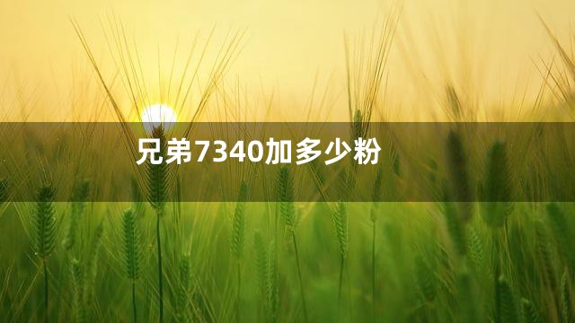 兄弟7340加多少粉