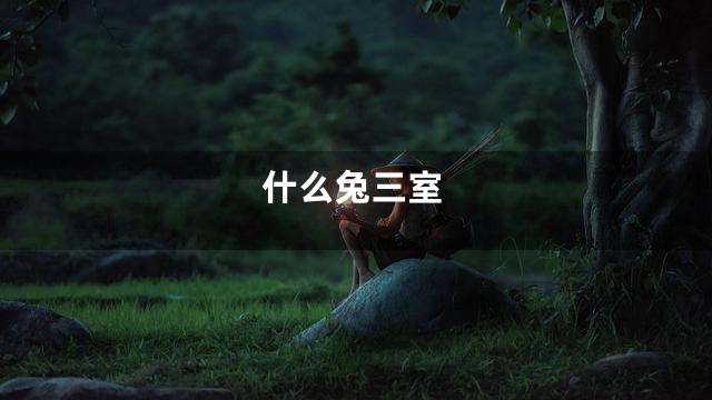 什么兔三室