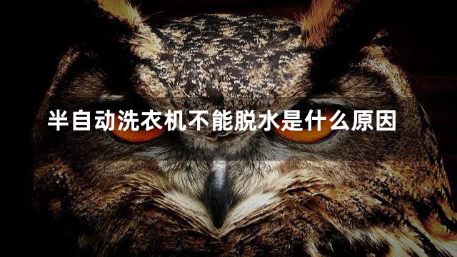 半自动洗衣机不能脱水是什么原因