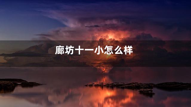 廊坊十一小怎么样