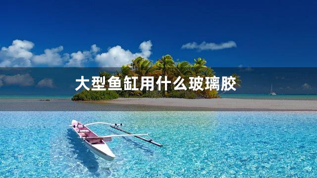 大型鱼缸用什么玻璃胶