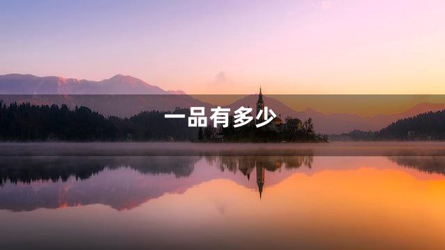 一品有多少