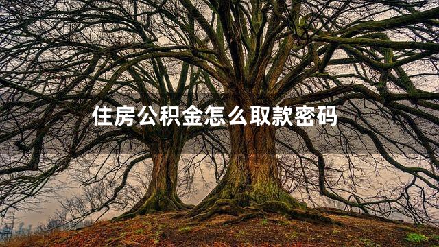 住房公积金怎么取款密码