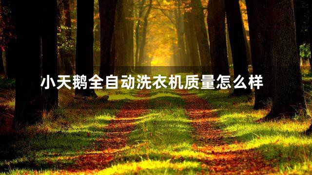 小天鹅全自动洗衣机质量怎么样