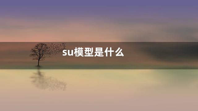 su模型是什么