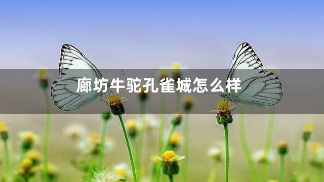 廊坊牛驼孔雀城怎么样