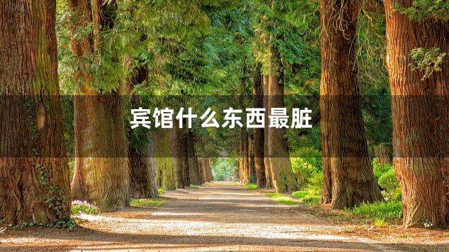 宾馆什么东西最脏