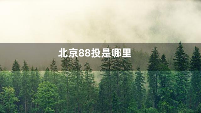 北京88投是哪里