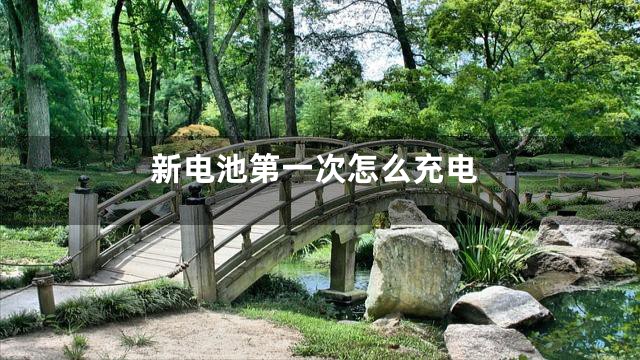 新电池第一次怎么充电