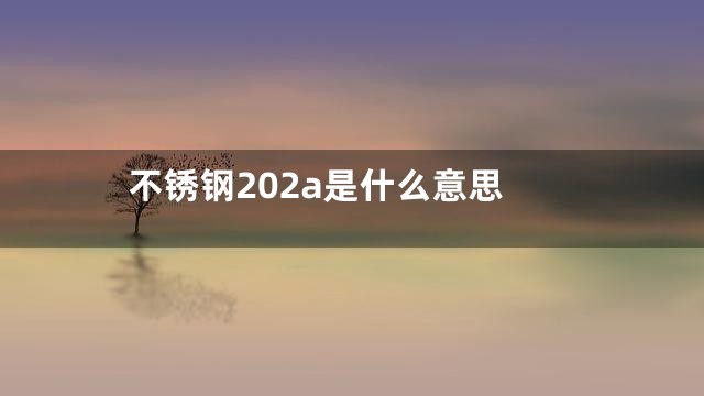 不锈钢202a是什么意思
