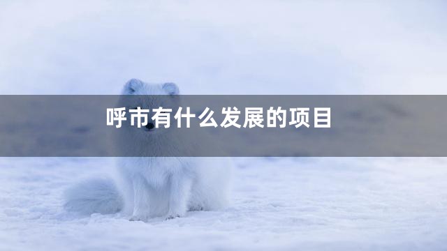 呼市有什么发展的项目