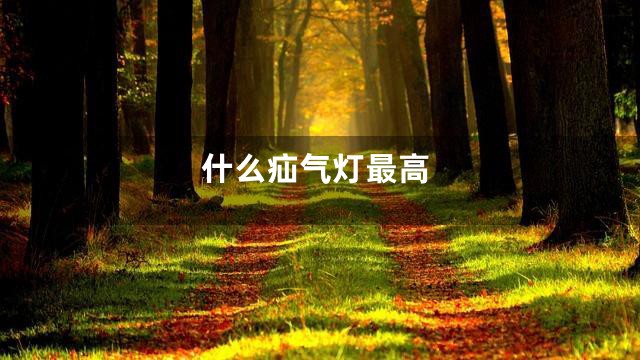 什么疝气灯最高