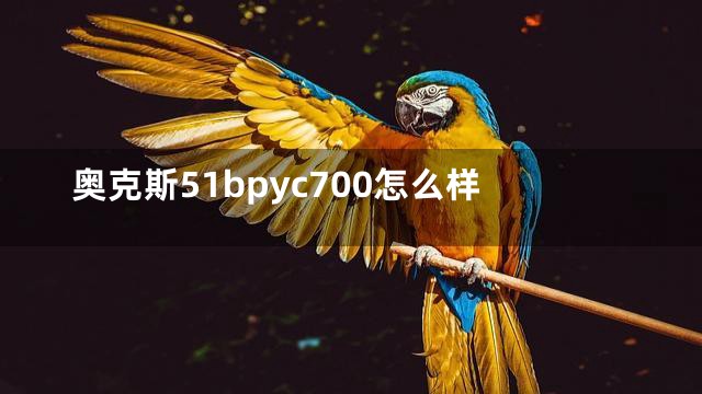奥克斯51bpyc700怎么样