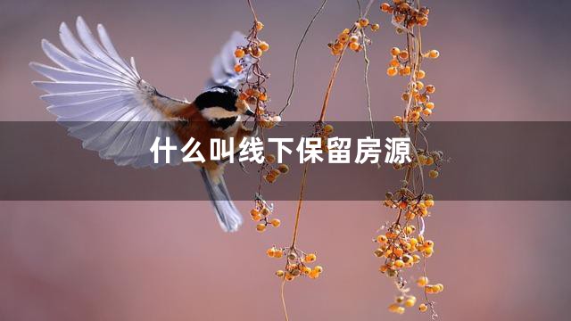 什么叫线下保留房源