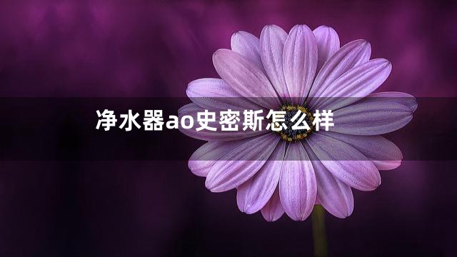 净水器ao史密斯怎么样