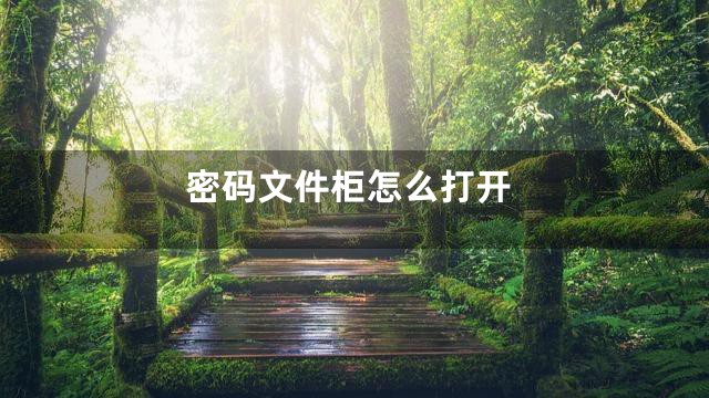 密码文件柜怎么打开