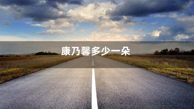 康乃馨多少一朵