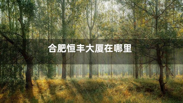 合肥恒丰大厦在哪里