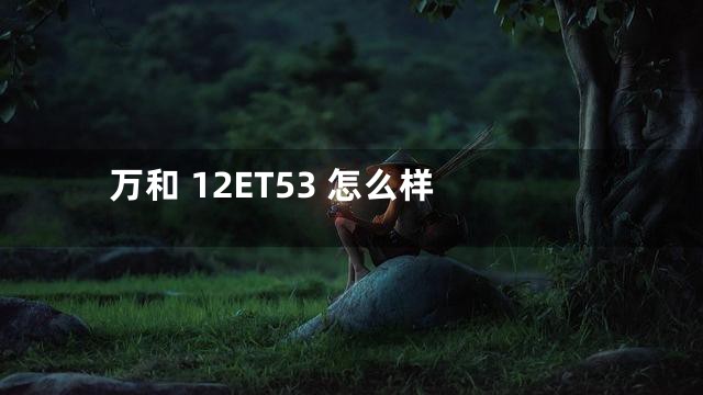万和 12ET53 怎么样