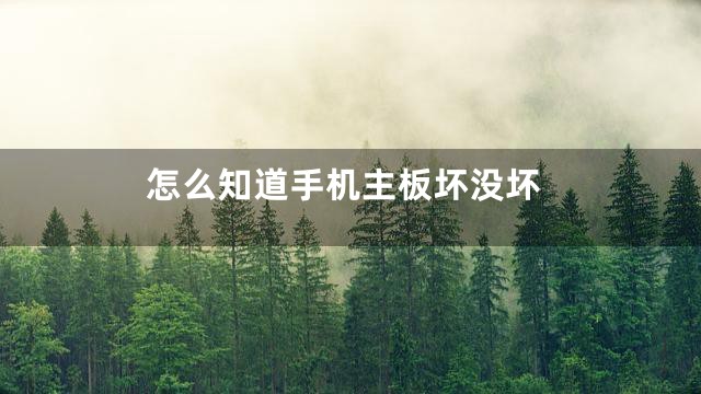 怎么知道手机主板坏没坏