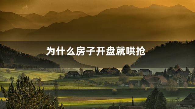 为什么房子开盘就哄抢