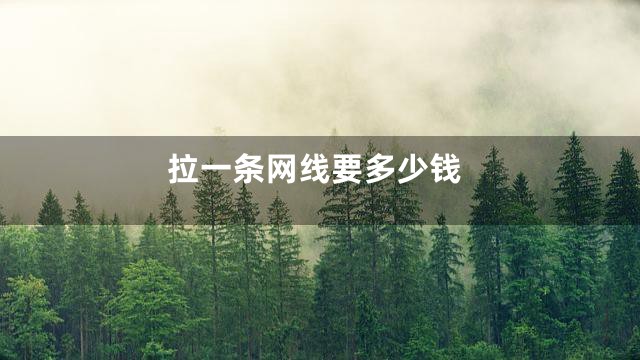 拉一条网线要多少钱