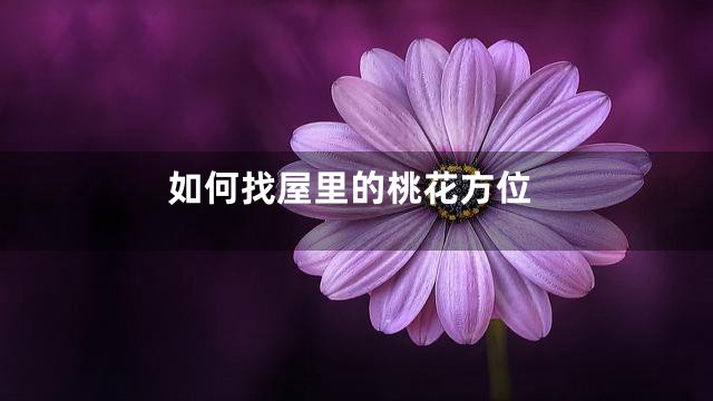 如何找屋里的桃花方位