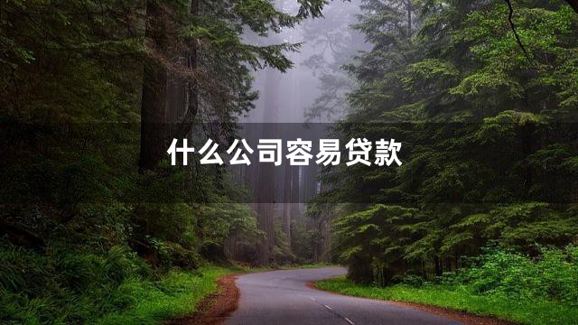 什么公司容易贷款