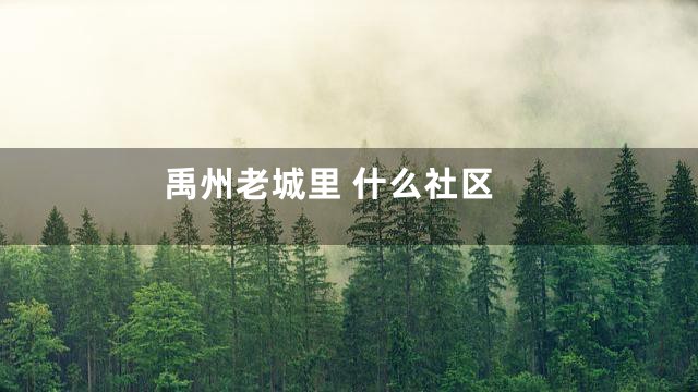 禹州老城里 什么社区