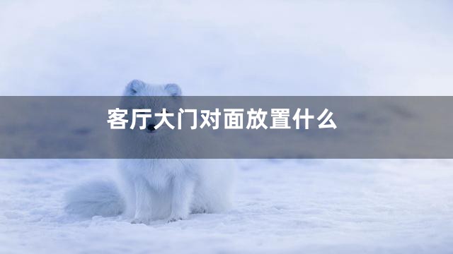 客厅大门对面放置什么
