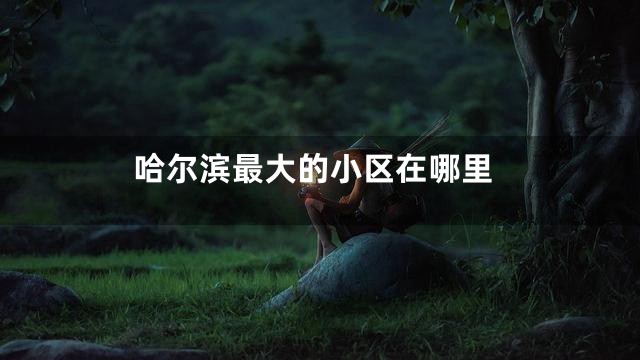 哈尔滨最大的小区在哪里