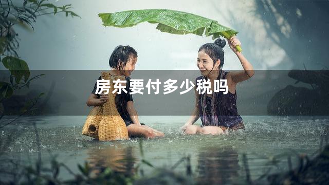 房东要付多少税吗