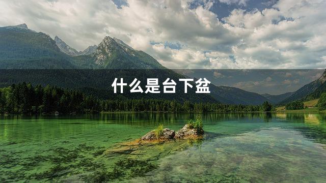 什么是台下盆