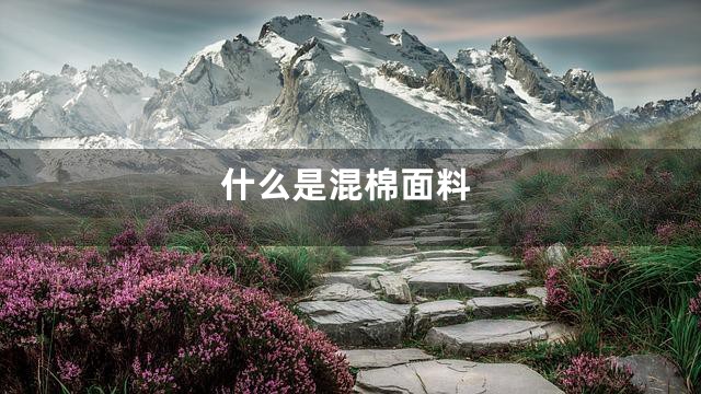 什么是混棉面料