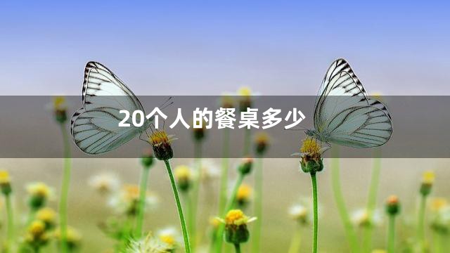 20个人的餐桌多少