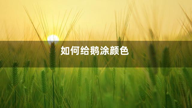 如何给鹅涂颜色