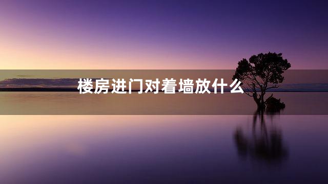 楼房进门对着墙放什么