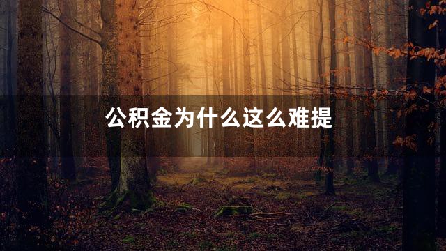 公积金为什么这么难提