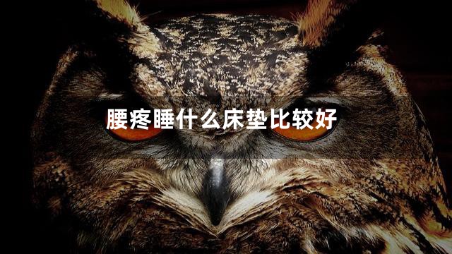 腰疼睡什么床垫比较好