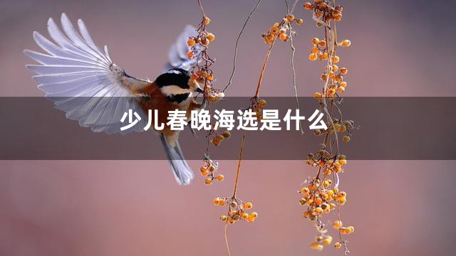 少儿春晚海选是什么