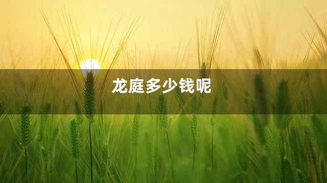 龙庭多少钱呢