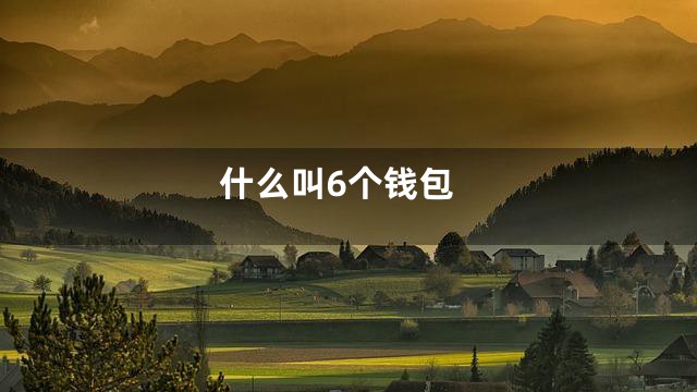 什么叫6个钱包