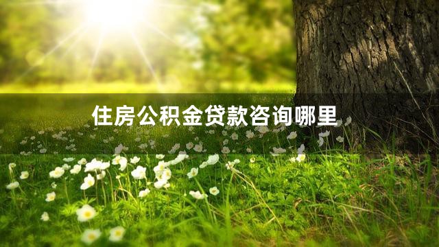 住房公积金贷款咨询哪里