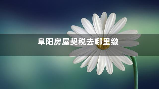 阜阳房屋契税去哪里缴